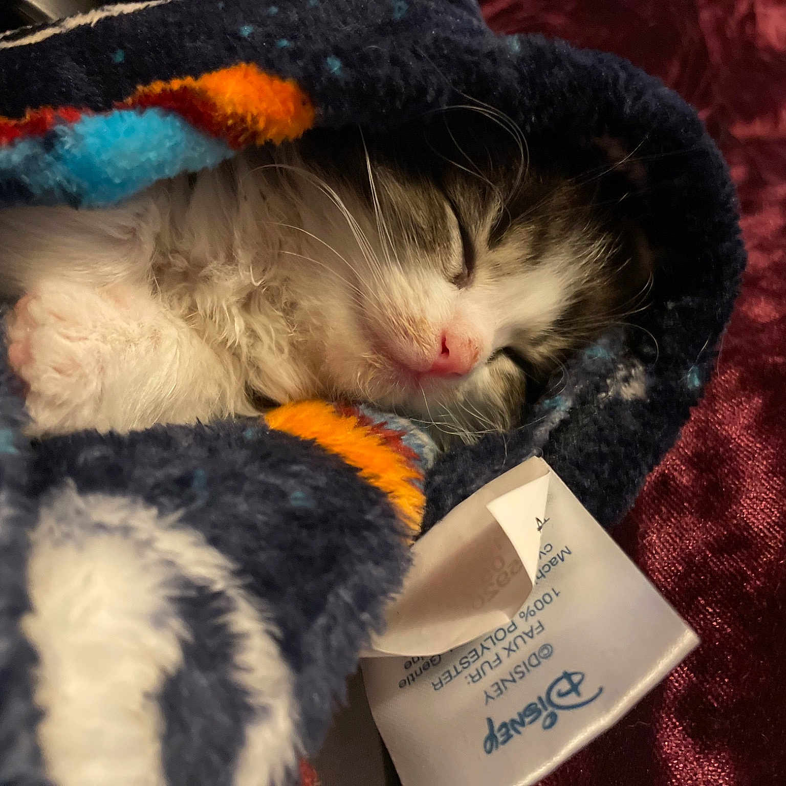 Figaro