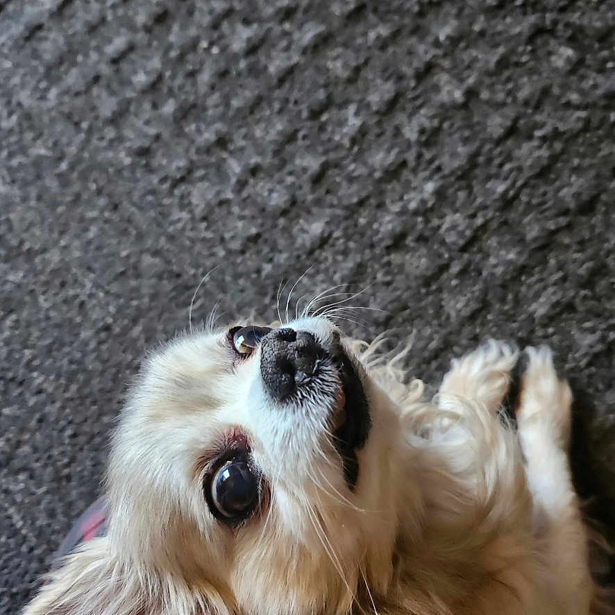 Stinkyman