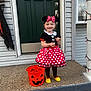 Saylor is registered to the contest to win money with this photo: child, toddler, costume, minnie_mouse, dress, headband, pumpkin_bucket, halloween, door, porch, smile, yellow_shoes, polka_dots, holiday, festive, outdoor, concrete, house, black_tights, cute