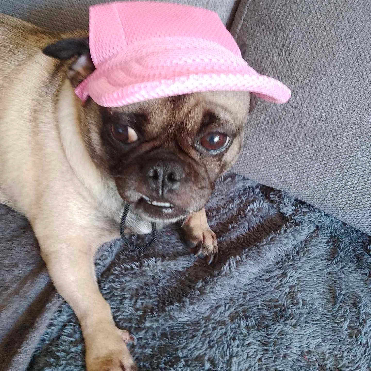 Carla