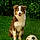 Marley