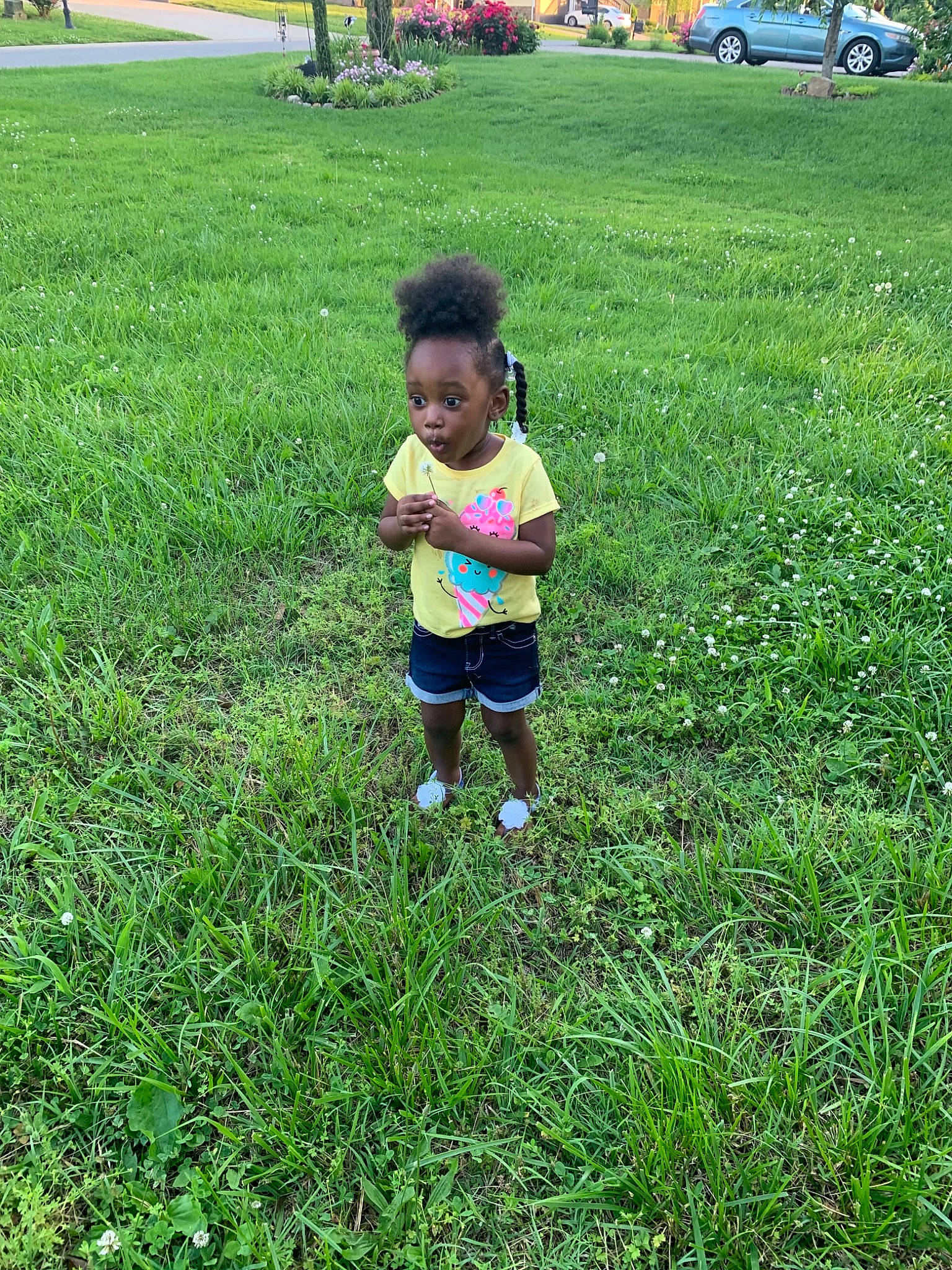 Aniylah joined the competition — help win amazing prizes! child, grass, grass_family, grassland, lawn, leaf, meadow, pasture, person, plant, play, summer, surprise, toddler
