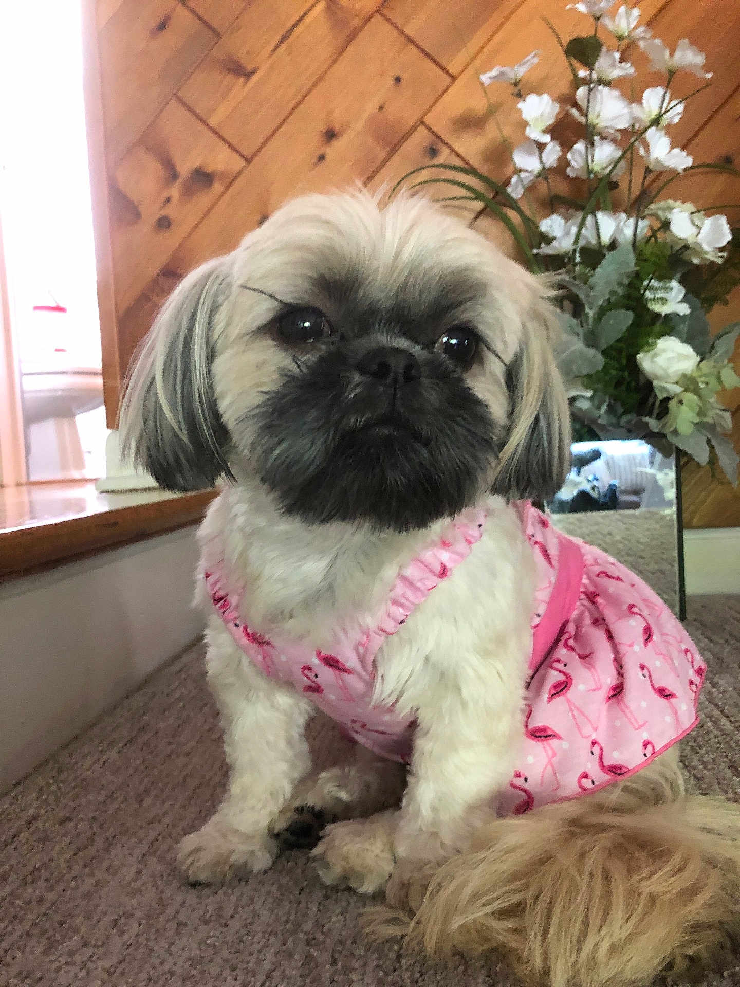 Princess