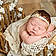 Alayna