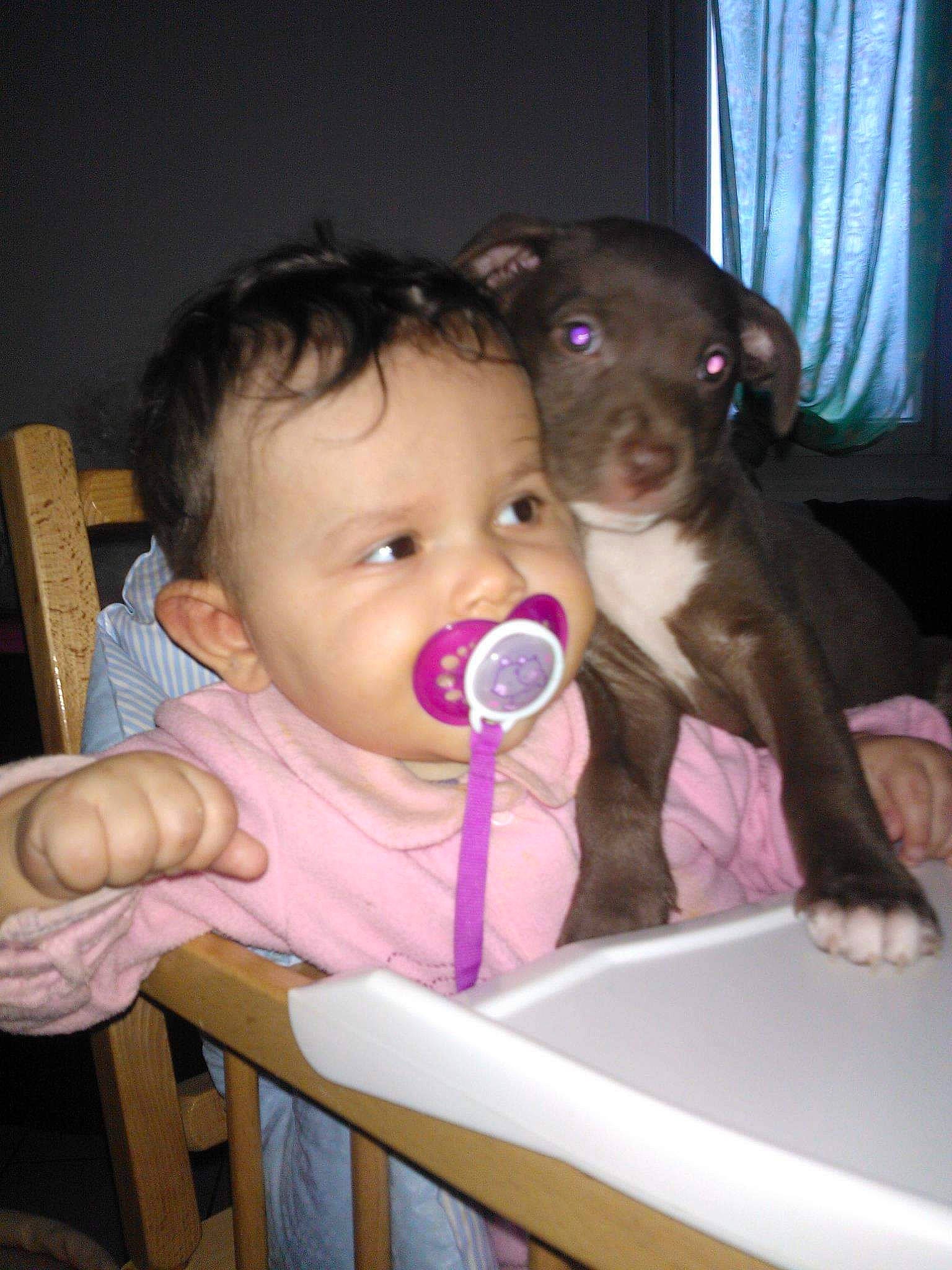 Loona a rejoint le concours — aidez-le/la à gagner de superbes lots ! baby, canidae, cheek, child, dog_breed, ear, eye, fawn, nose, person, skin, sporting_group, toddler