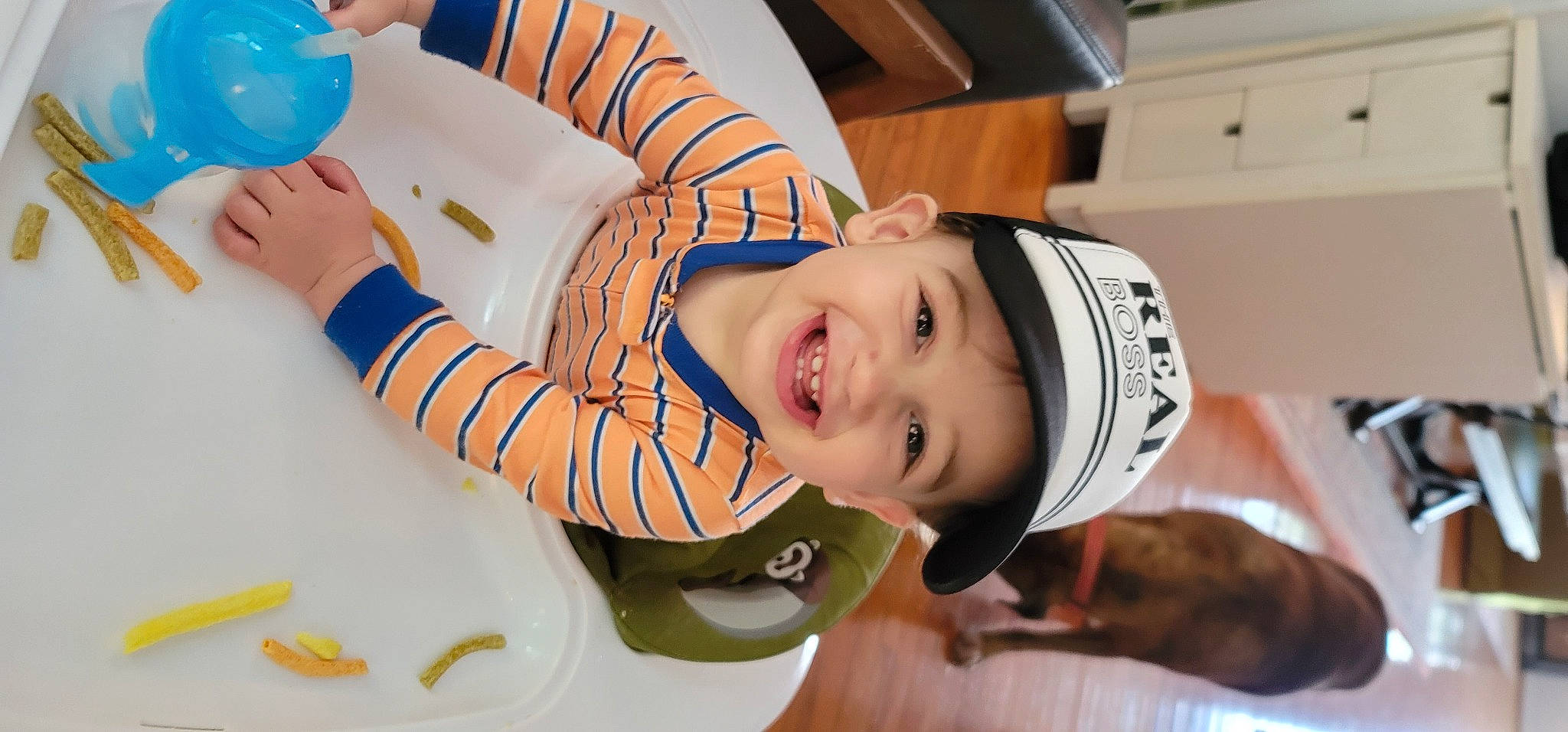 Cash is registered to the contest to win money with this photo: baby, balloon, child, fun, fur, happy, headwear, joy, leisure, party_supply, person, recreation, room, smile, toddler