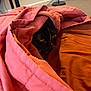 Pippy is registered to the contest to win money with this photo: cat, black_cat, blanket, bed, cozy, indoor, pet, fur, whiskers, yellow_eyes, fabric, home, resting, hidden, cute, animal, comfort, soft, fur_pattern, nap