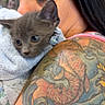 affection, animal, cat, close_up, closed_eyes, cute, face, gray_cat, holding, human, indoor, kitten, love, person, pet, portrait, skin, tattoo, tattooed_arm, towel