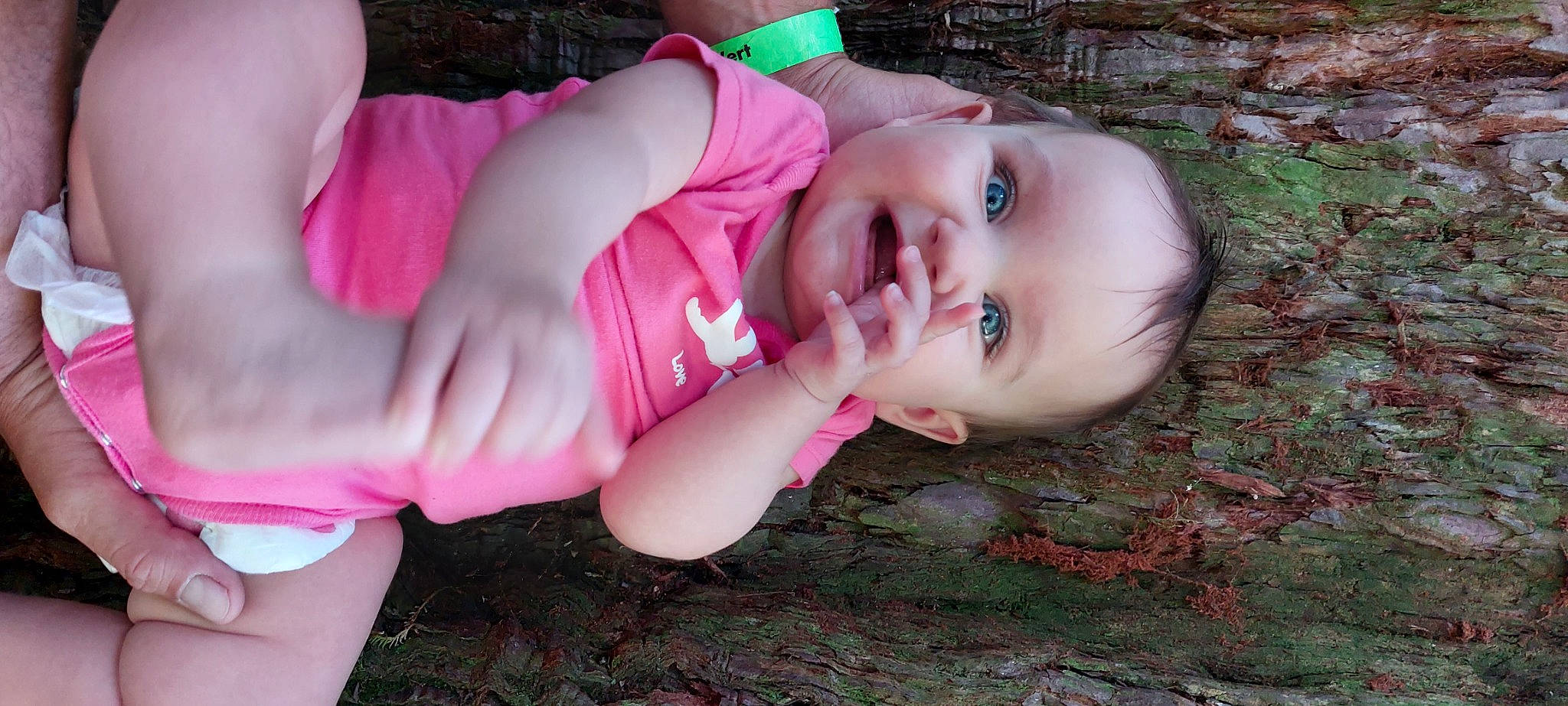 Sarah a rejoint le concours — aidez-le/la à gagner de superbes lots ! baby, baby_toddler_clothing, eye, face, flash_photography, grass, happy, hat, head, iris, lip, mouth, nose, people_in_nature, person, pink, plant, skin, smile, toddler