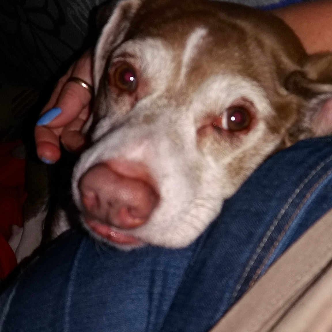 Roscoe