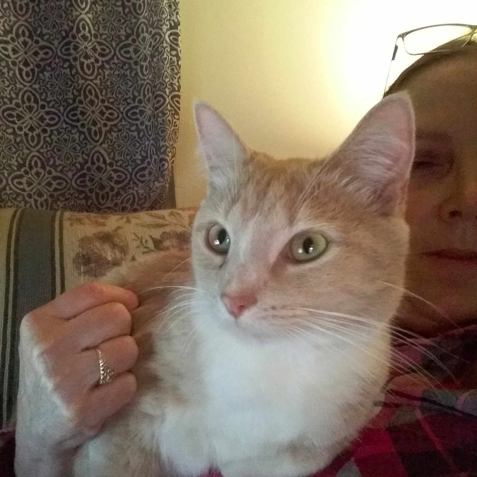 Sammy