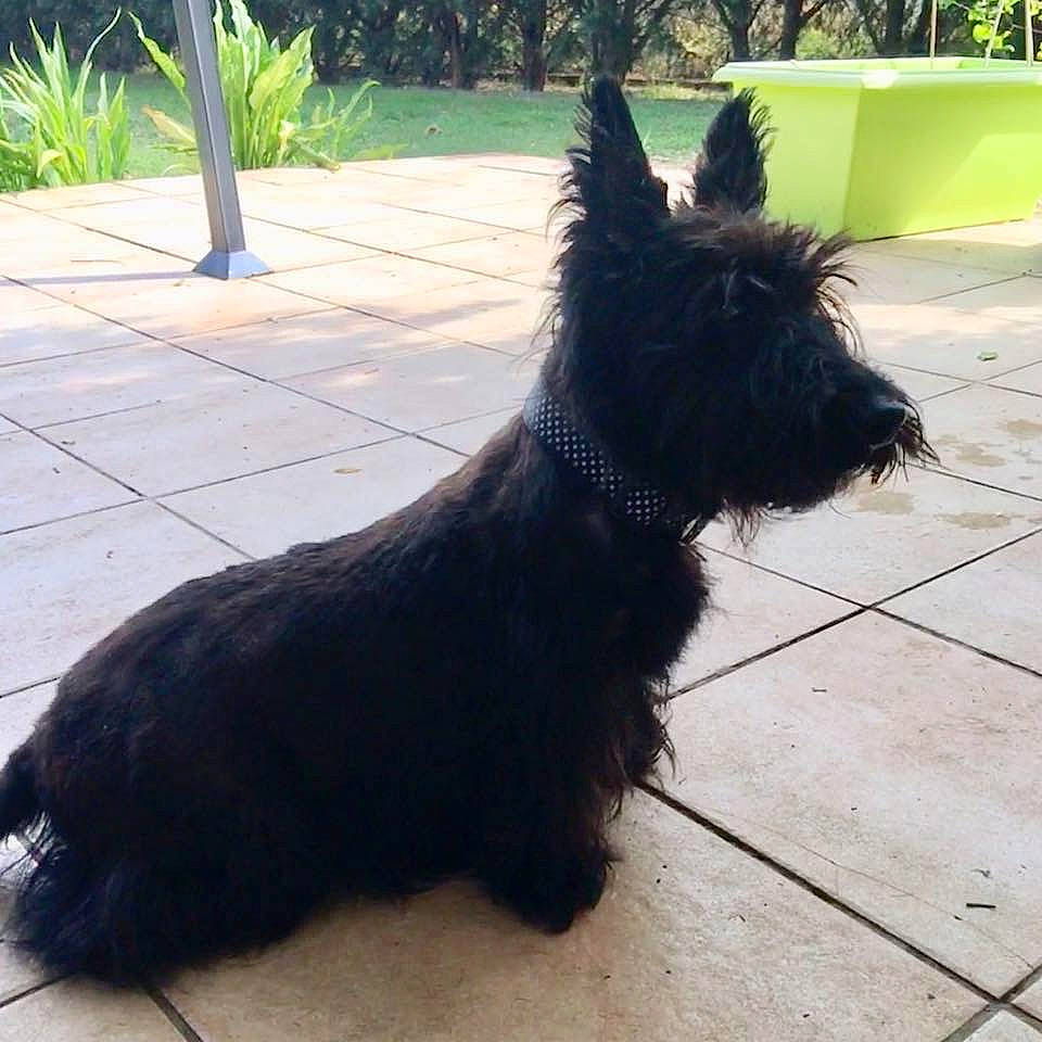 Enita