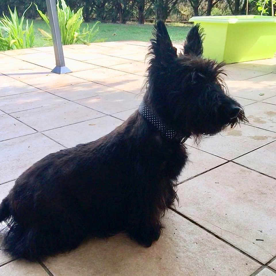 Enita