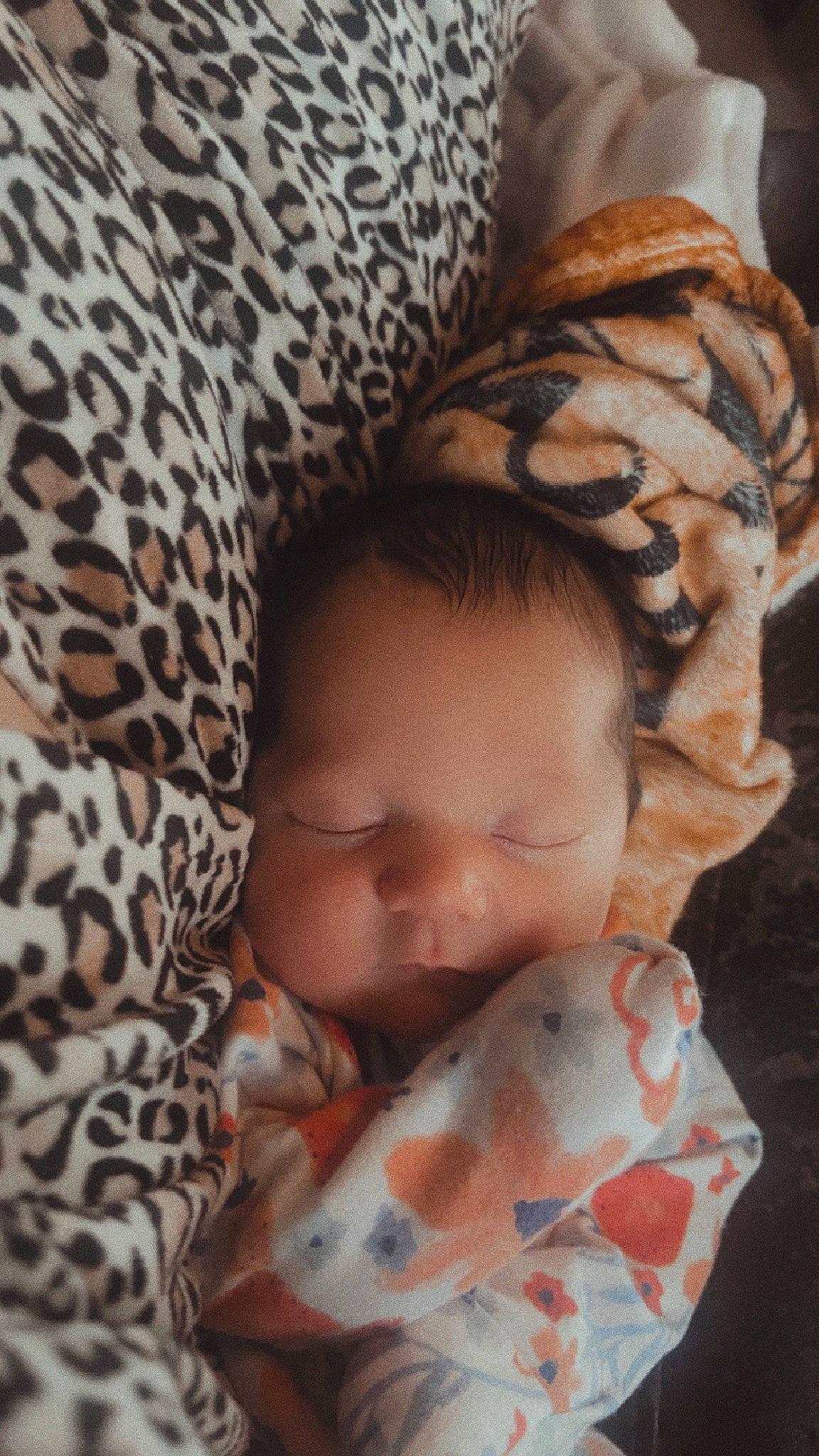 Penelope joined the competition — help win amazing prizes! baby, baby_toddler_clothing, bedding, bedtime, cheek, child, comfort, fur, gesture, happy, head, linens, mammal, nap, pattern, person, sleeve, textile, toddler, vertebrate