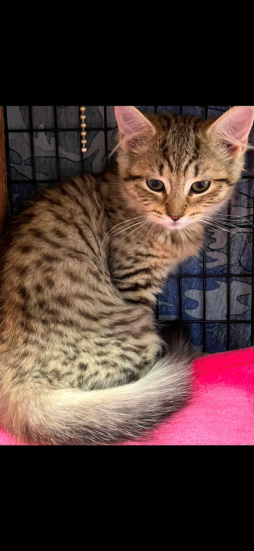 Asia