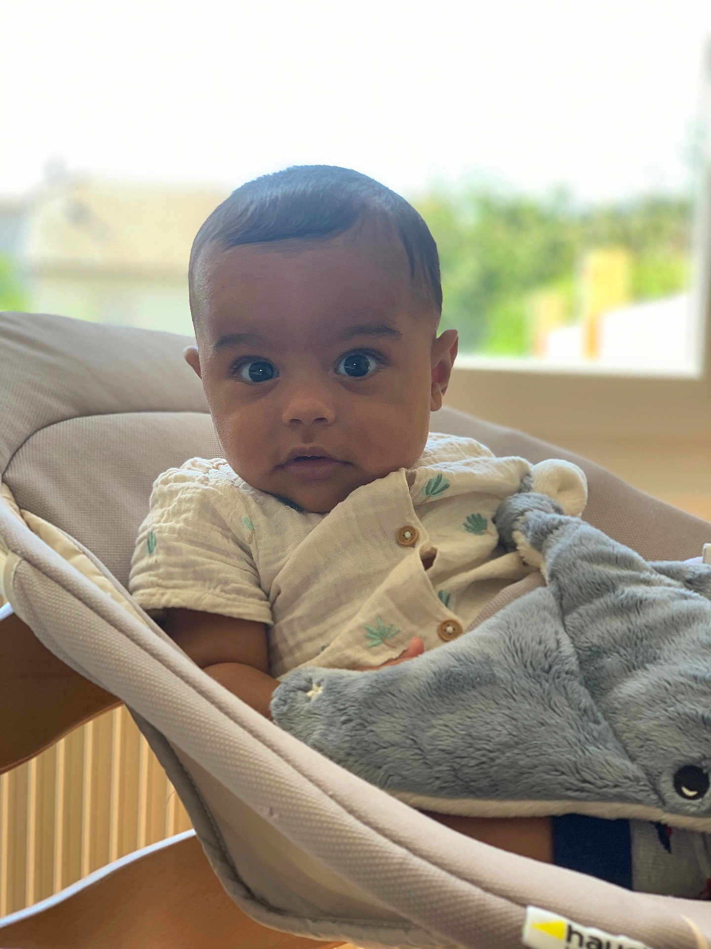 Marceau participe au concours pour gagner de l'argent avec cette photo : baby, infant, plush_toy, shark, baby_rocker, cushion, window, indoor, curious, wide_eyes, clothing, wooden_frame, soft_toy, child, person, portrait, seated, comfortable, home, daylight