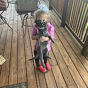 Zippy joined the competition — help win amazing prizes! animal, bow, casual, cat, chair, child, daylight, face_mask, furniture, girl, grass, gray_cat, hair_bow, holding, mask, outdoor, pet, pink_shirt, standing, wooden_deck