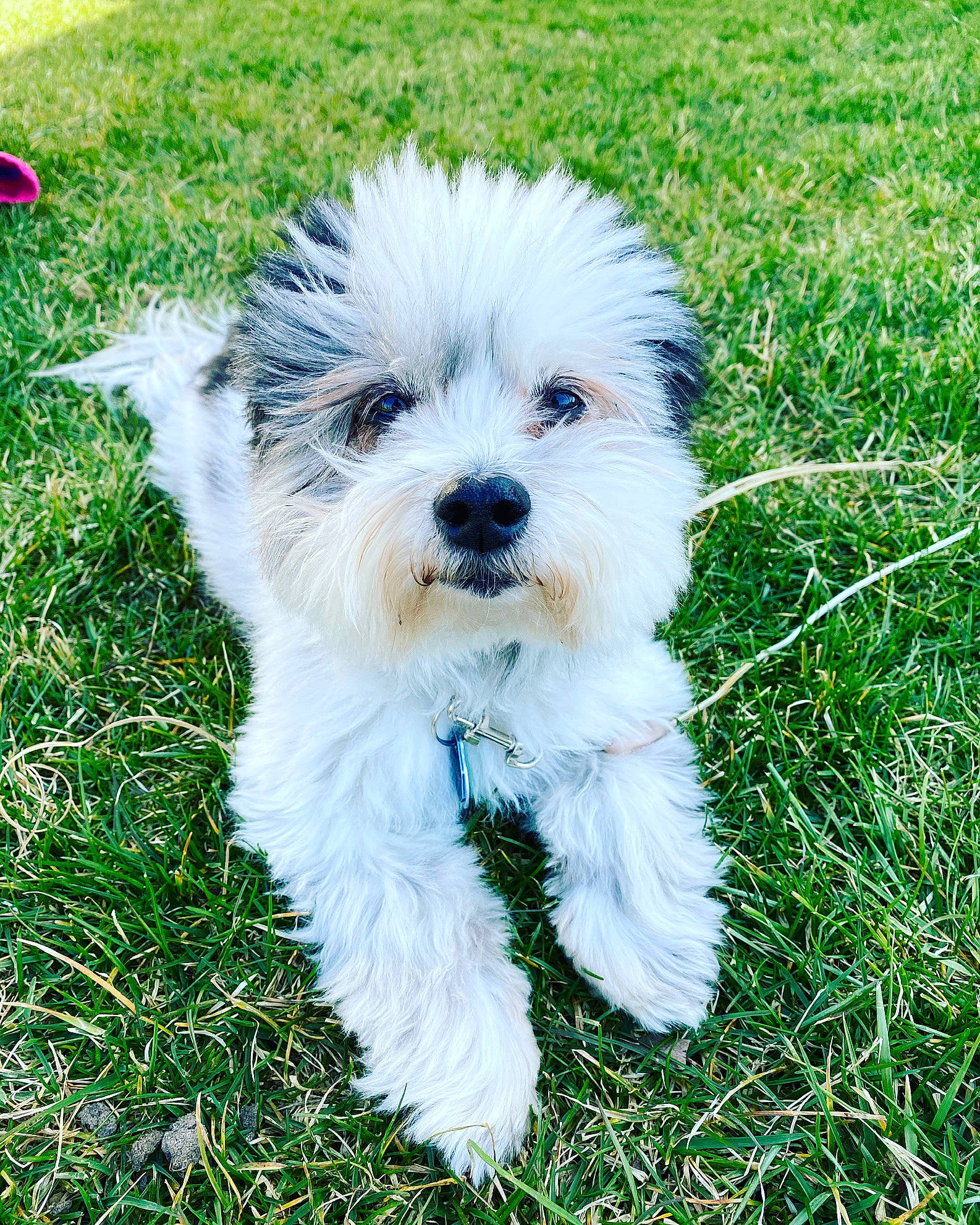 Baxter