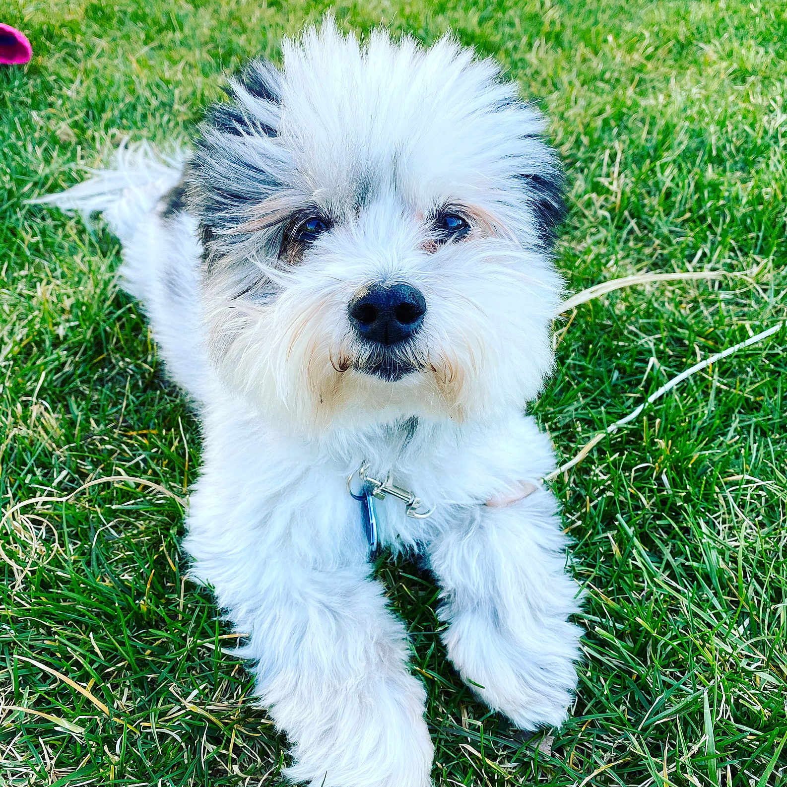 Baxter