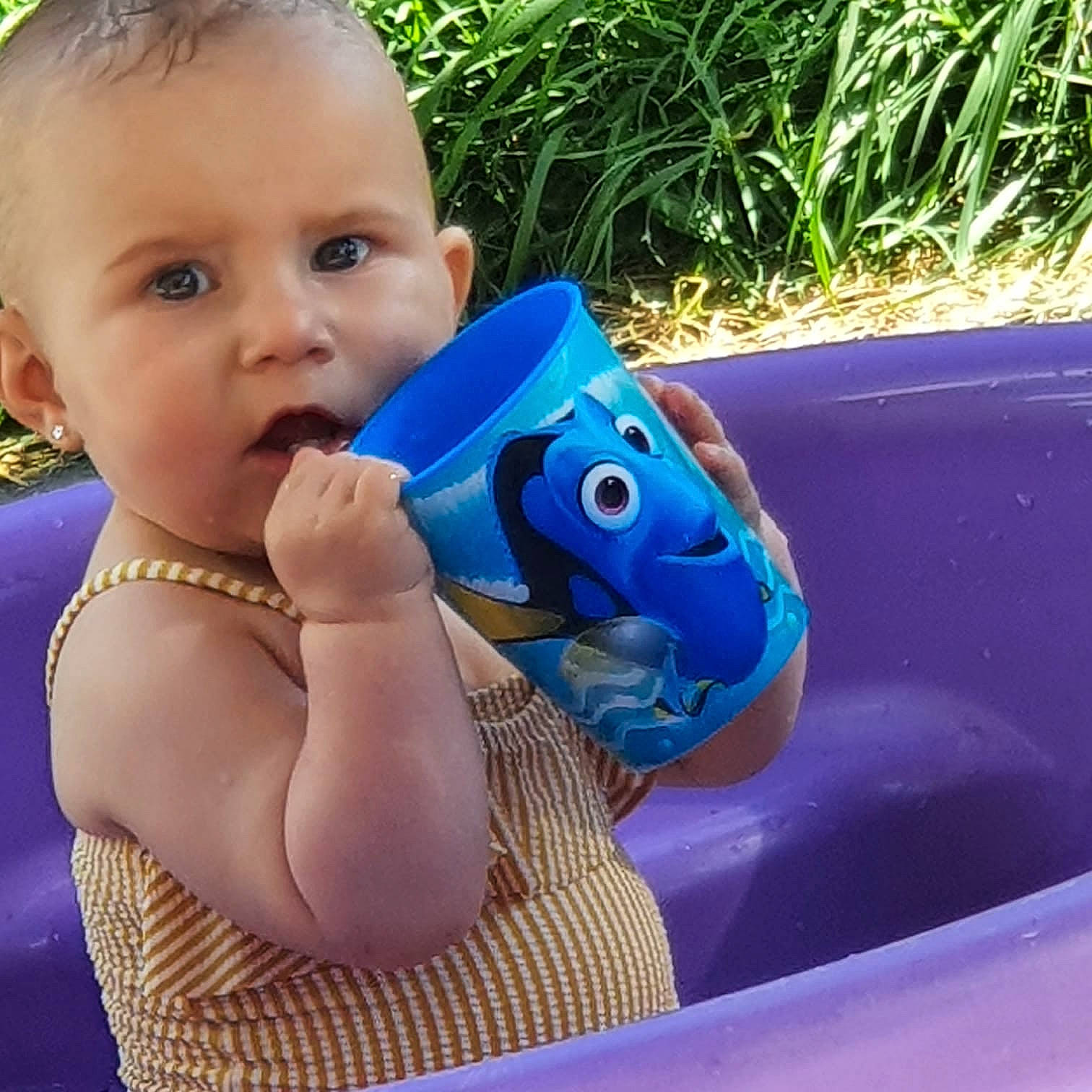 Joy participe au concours pour gagner de l'argent avec cette photo : automotive_exterior, azure, baby, baby_products, baby_toddler_clothing, chest, child, cool, electric_blue, finger, fun, grass, green, happy, leisure, people_in_nature, person, plant, product, recreation