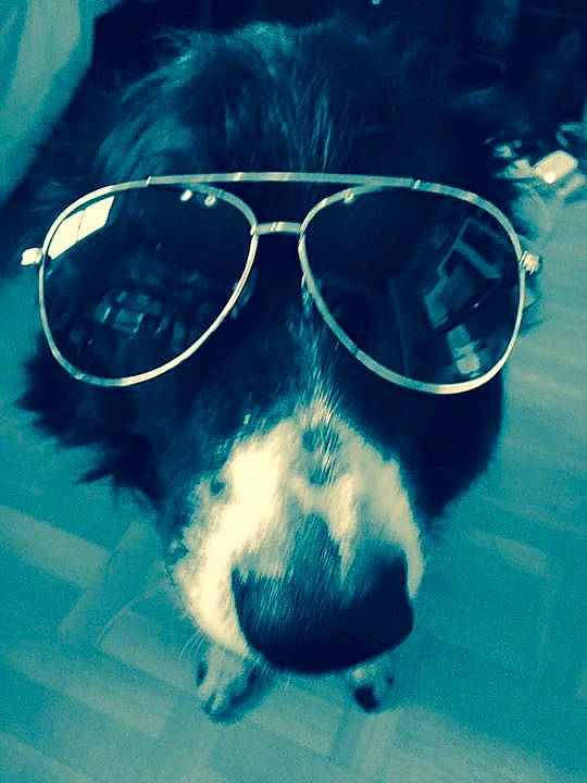 Jake joined the competition — help win amazing prizes!