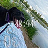 dog, black_dog, pet, collar, leash, smiling, open_mouth, teeth, outdoor, lakeside, lake, water, grass, vegetation, trees, nature, shoreline, blanket, portrait, text_overlay
