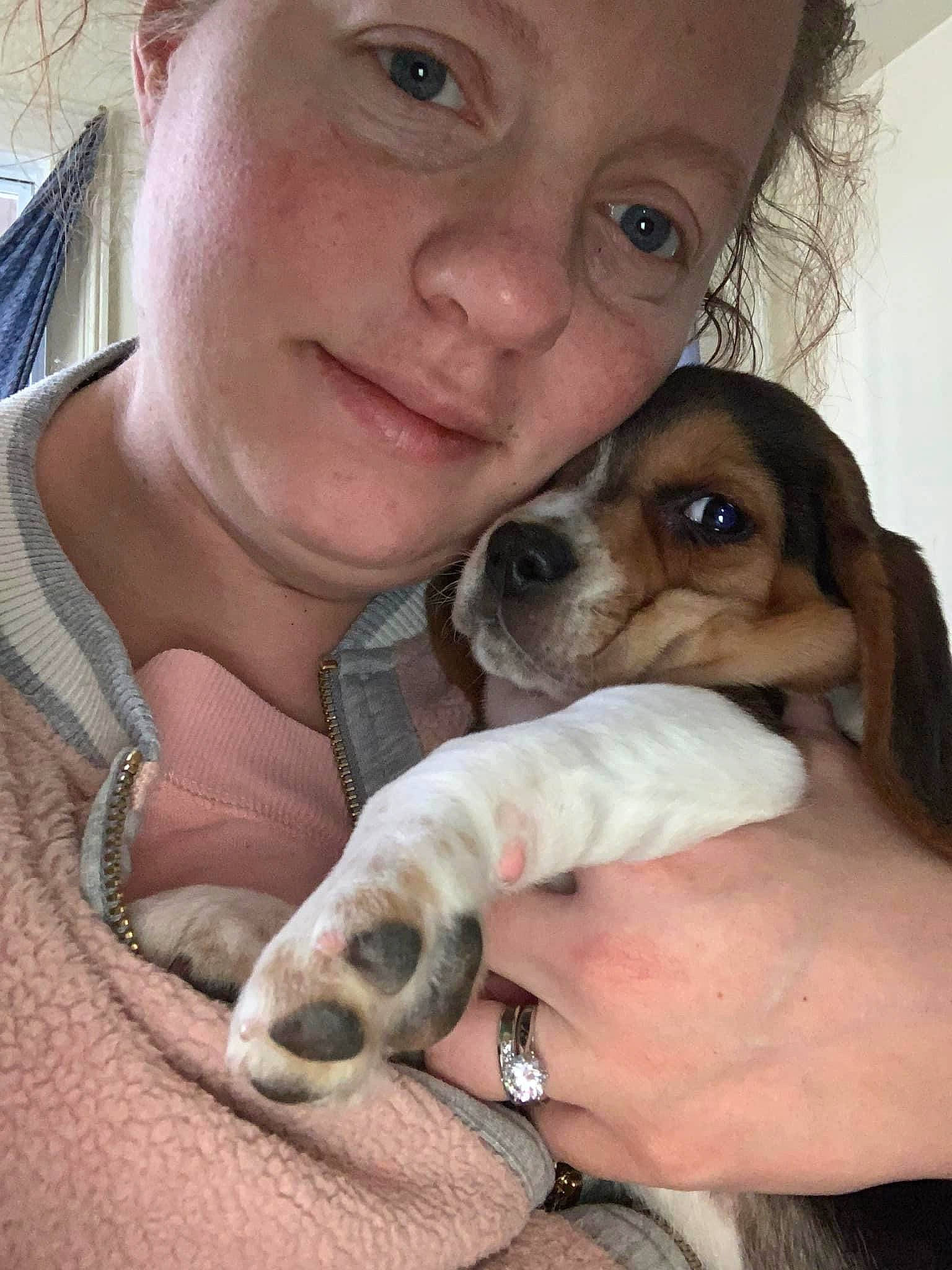 Jethro joined the competition — help win amazing prizes! carnivore, companion_dog, dog, dog_breed, ear, eyelash, fawn, fur, gesture, hand, happy, nose, puppy_love, selfie, skin, smile, snout, sporting_group, watch, whiskers