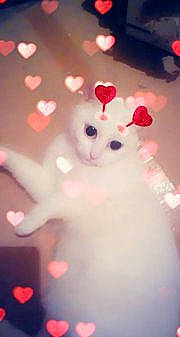 Heidi participe au concours pour gagner de l'argent avec cette photo : animation, fictional_character, heart, love, macro_photography, pink, red, sky, valentines_day