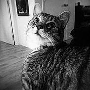 Ptit-ptit a rejoint le concours — aidez-le/la à gagner de superbes lots !