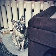 Shanna a rejoint le concours — aidez-le/la à gagner de superbes lots !