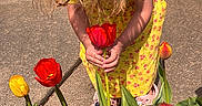 Annalea is registered to the contest to win money with this photo: child, toddler, girl, outdoor, garden, tulips, flowers, yellow_dress, floral_clothing, long_hair, holding_flower, red_tulip, pink_shoes, sidewalk, house, stone_wall, door, sunlight, spring, portrait
