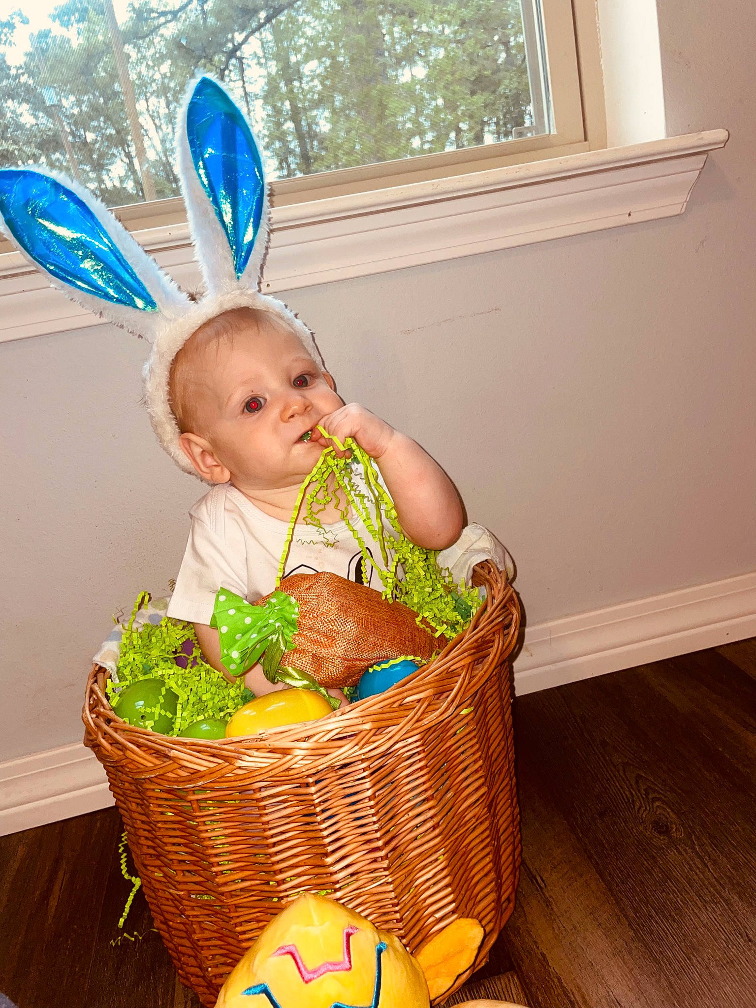 Braylon is registered to the contest to win money with this photo: baby, baby_products, baby_toddler_clothing, basket, blue, child, event, fashion_accessory, fun, grass, happy, laundry_basket, natural_foods, people_in_nature, person, picnic_basket, product, storage_basket, toddler, wicker