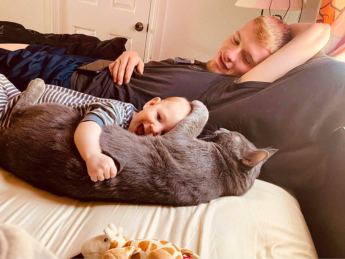 Braylon joined the competition — help win amazing prizes! bed, bedding, cat, chair, child, comfort, companion_dog, couch, felidae, flooring, fur, happy, house, interaction, joy, linens, person, sitting, small_to_medium_sized_cats, textile