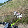 adventure, animal, bicycle, canine, clouds, daytime, dog, field, grass, handlebar, happy, leash, nature, outdoor, pet, road, rural, siberian_husky, sky, walking
