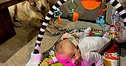 Connor is registered to the contest to win money with this photo: baby, carpet, child, colorful, couch, cute, dog, floor, furniture, golden_retriever, home, infant, living_room, person, pet, pillow, playmat, playtime, smile, toy