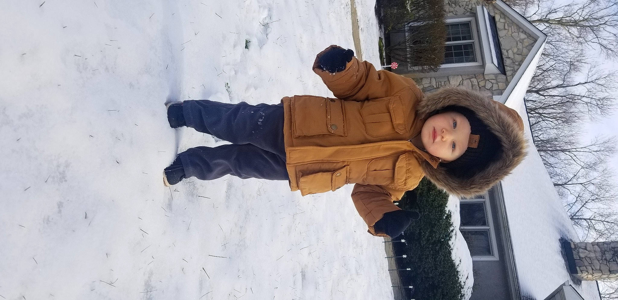Layne is registered to the contest to win money with this photo: child, freezing, fun, fur, glove, headwear, hoodie, jacket, knit_cap, leg, leisure, person, playing_in_the_snow, precipitation, recreation, snow, street_fashion, tree, vacation, window