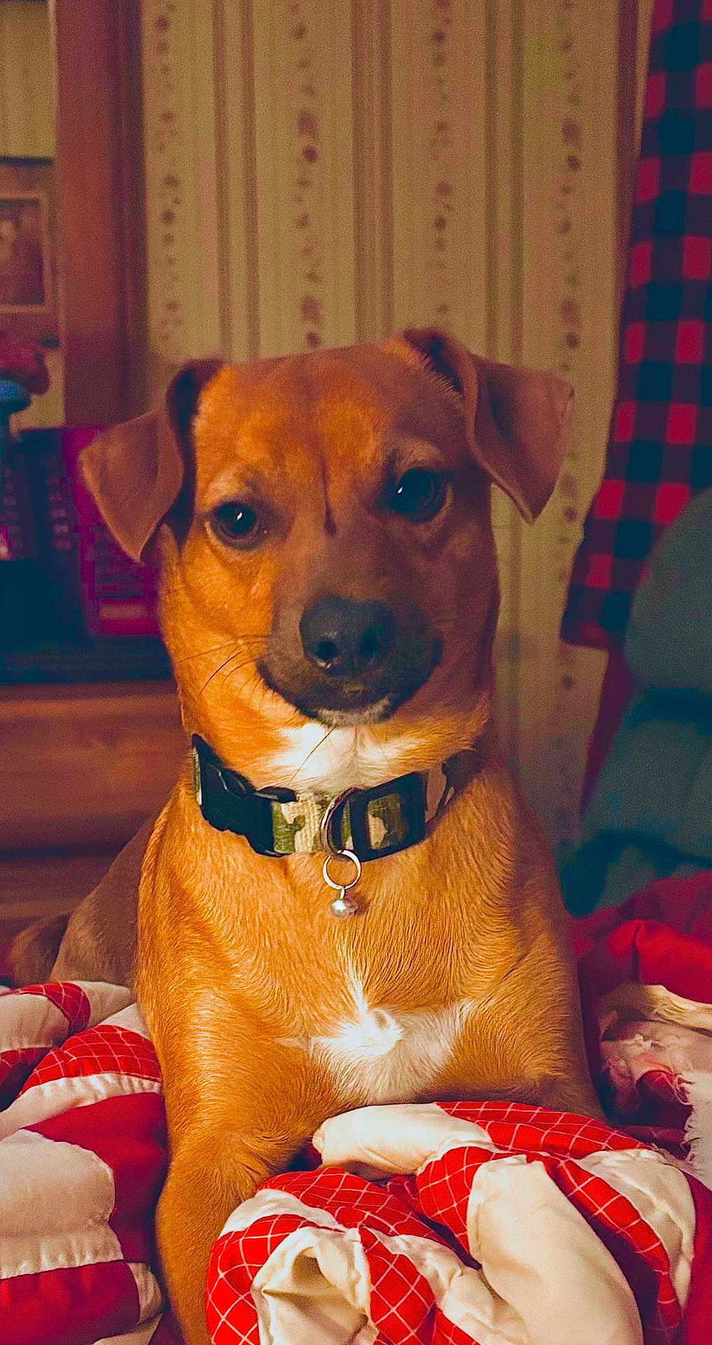 Billy