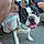 Daisey