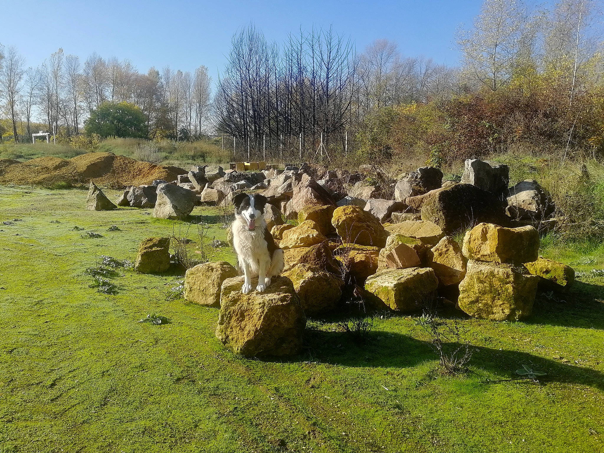 Maé participe au concours pour gagner de l'argent avec cette photo : ancient_history, bedrock, circle, grass, grassland, history, landscape, meadow, megalith, natural_landscape, outcrop, pasture, plain, plant, rock, ruins, rural_area, stone_wall, tree, wall