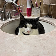 Oliver joined the competition — help win amazing prizes! cat, black_and_white, bathroom, sink, faucet, countertop, toothbrush, toiletries, mirror, tiles, indoor, pet, animal, portrait, close_up, sitting, whiskers, pink_nose, green_eyes, funny