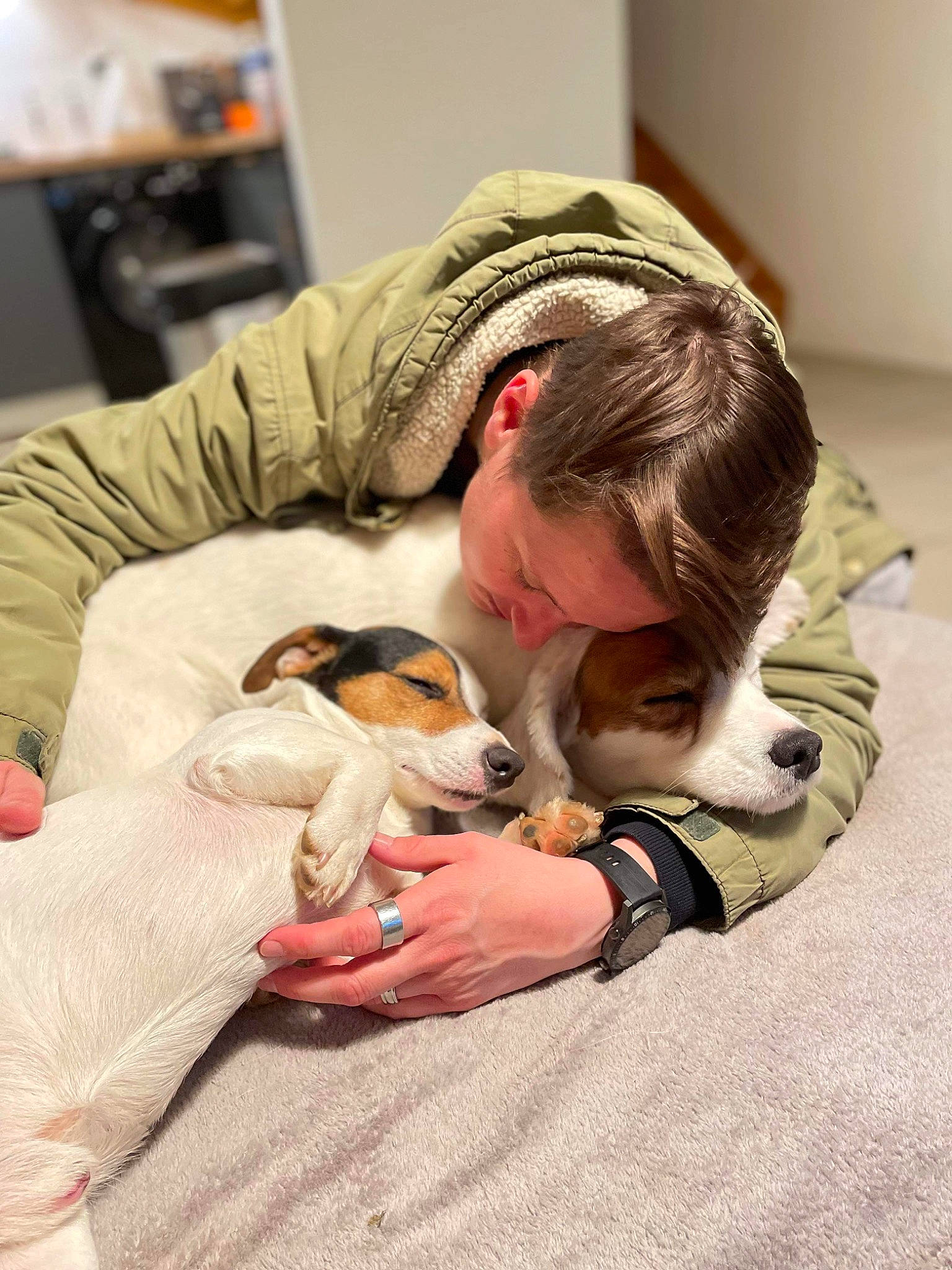 Minos a rejoint le concours — aidez-le/la à gagner de superbes lots ! canidae, carnivore, child, comfort, companion_dog, dog, dog_breed, ear, fawn, flooring, fur, lap, nap, room, sitting, sporting_group