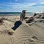Undy participe au concours pour gagner de l'argent avec cette photo : dog, beach, sand, ocean, sky, clouds, sunlight, shadow, green_harness, waves, outdoor, nature, animal, playful, running, coast, dunes, daytime, happy, water