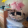 cat, sleeping, basket, pink_tulle, indoor, dresser, plastic_drawer, black_and_white, resting, cozy, decor, butterfly_doodle, room, furniture, relaxing, soft, quiet, cute, pet, nap
