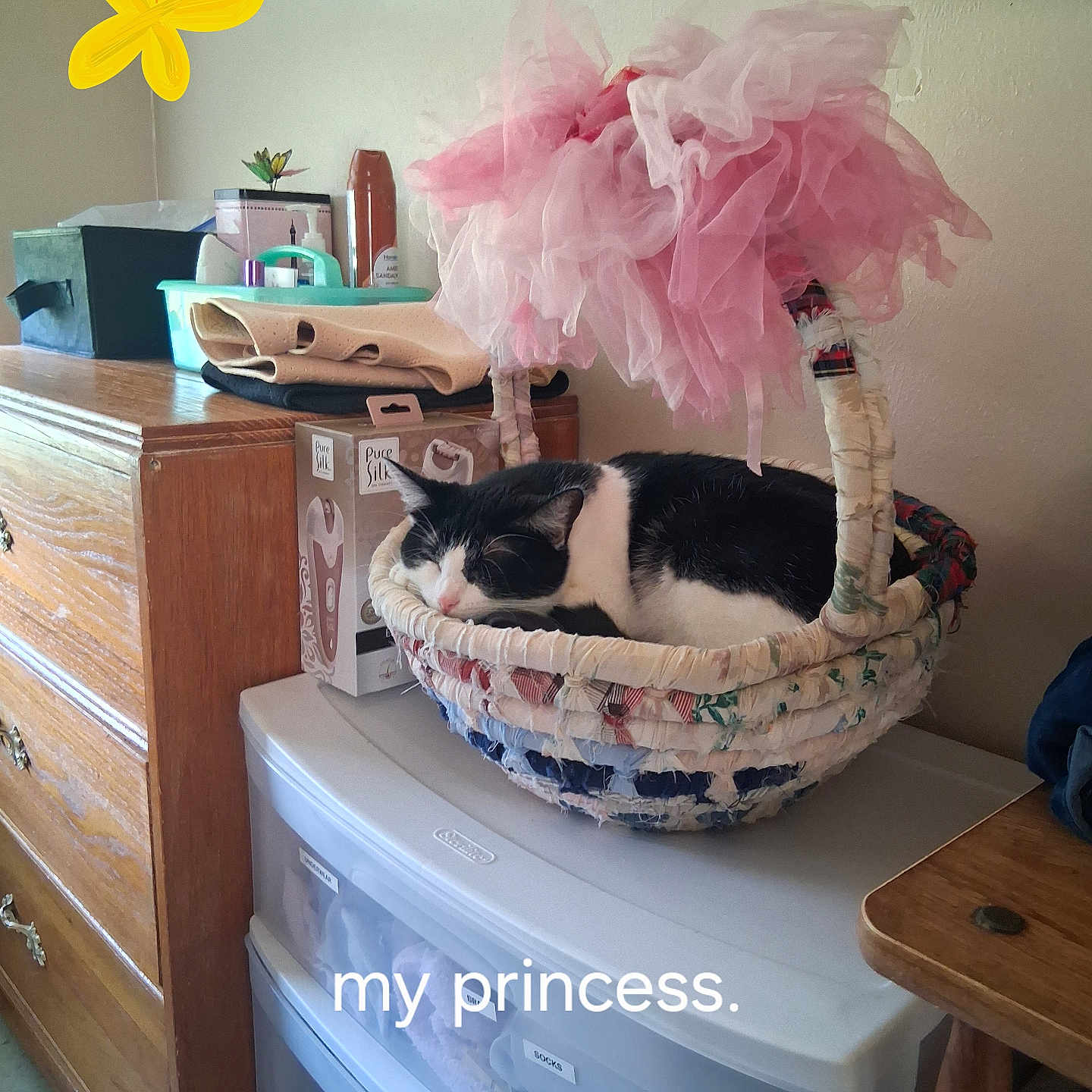 Princess