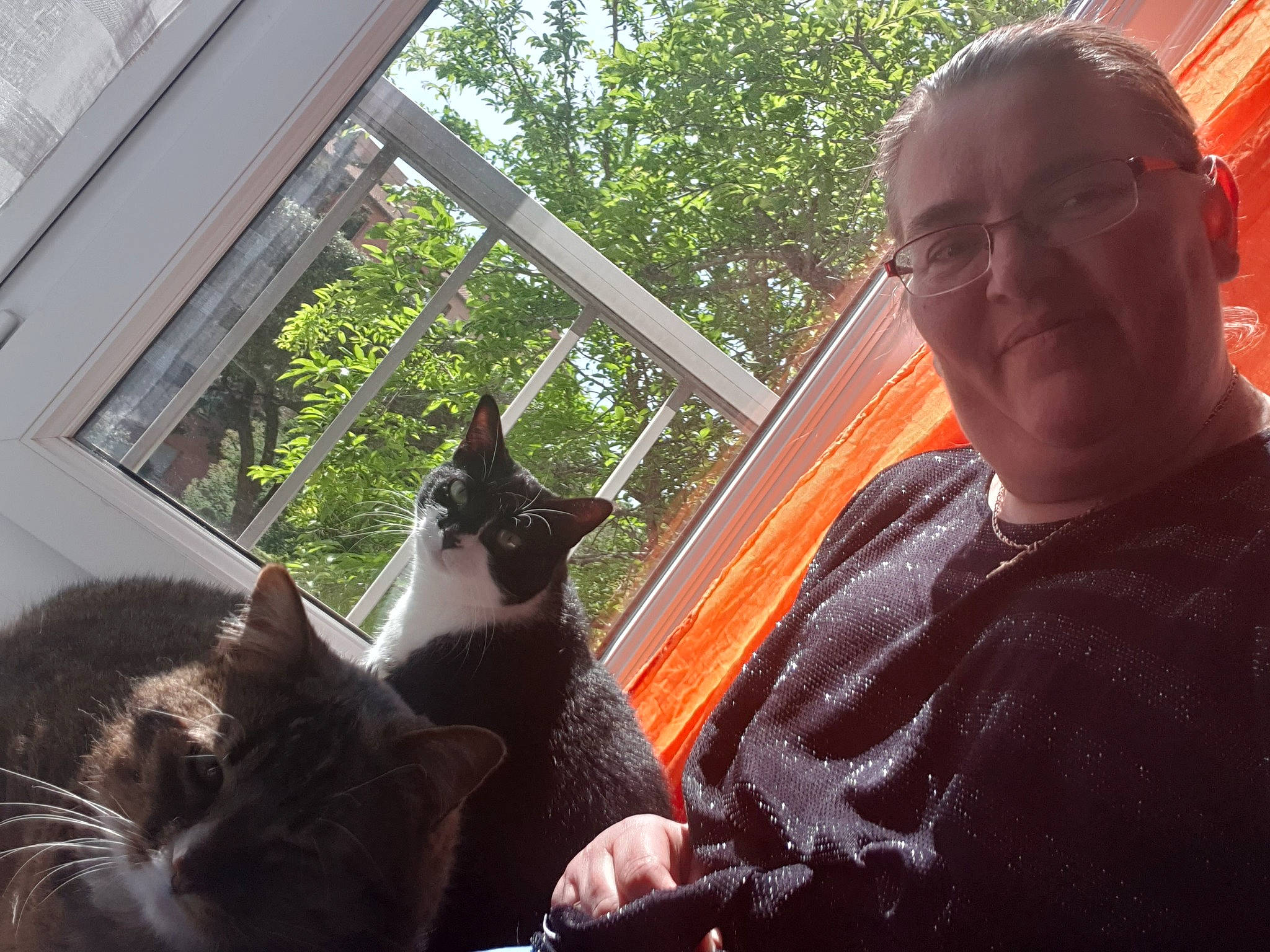 Naika a rejoint le concours — aidez-le/la à gagner de superbes lots ! carnivore, cat, comfort, domestic_short_haired_cat, eyewear, felidae, fur, glass, grass, lap, leaf, plant, sitting, small_to_medium_sized_cats, t_shirt, tail, tints_and_shades, tree, whiskers, window