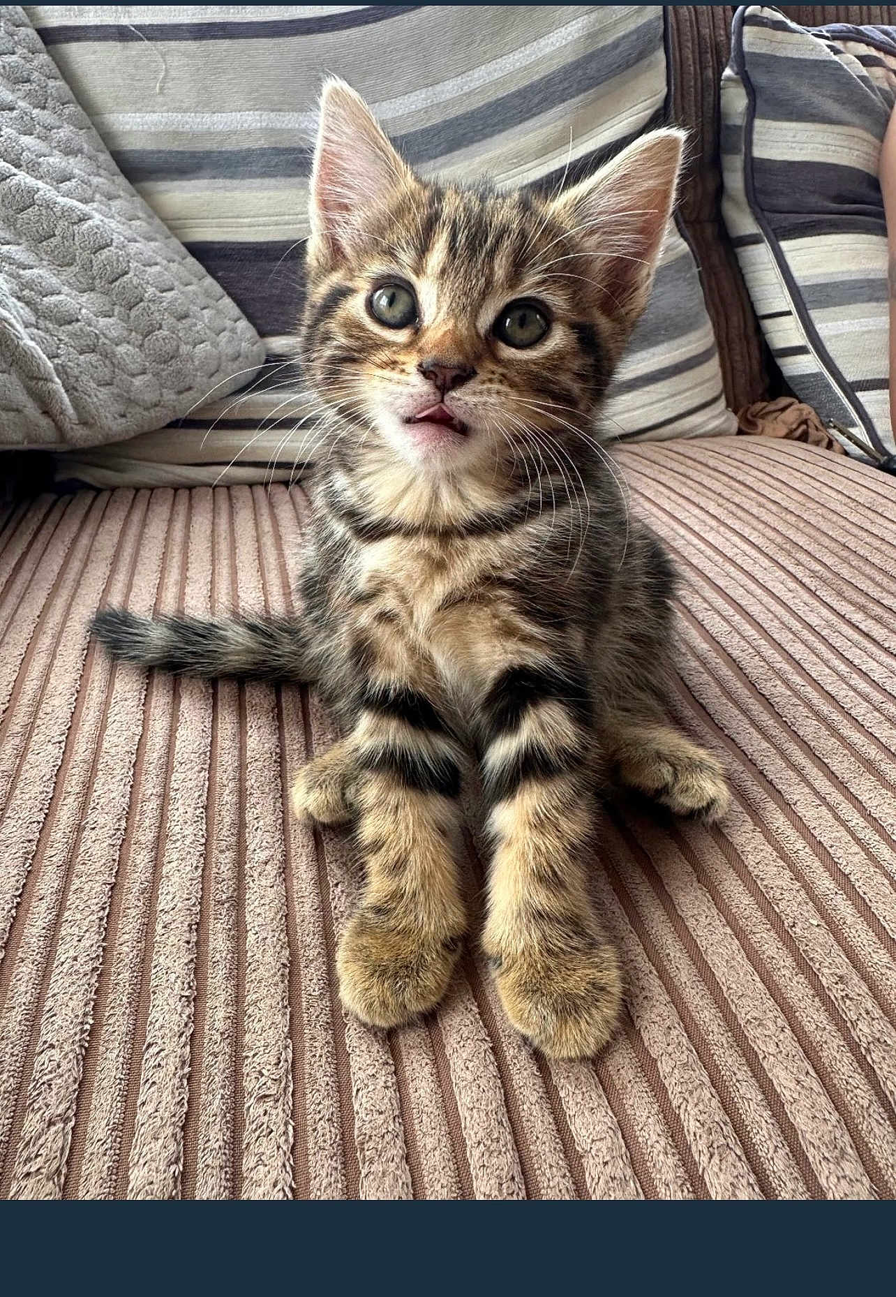 Nova