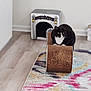 cat, black_and_white_cat, cardboard_scratch_pad, rug, colorful_rug, floor, indoor, pet_house, decor, home, furniture, animal, pet, cozy, cute, resting, playful, funny, box, scratching_post