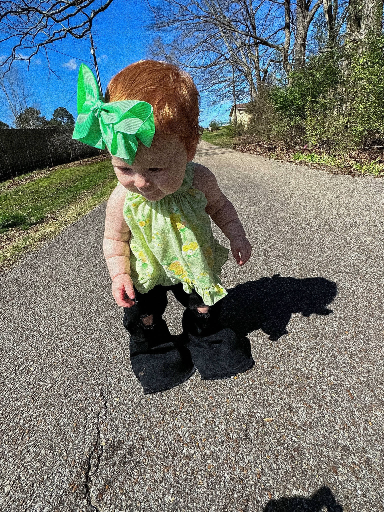 Payton is registered to the contest to win money with this photo: asphalt, botany, fun, gesture, grass, happy, insect, landscape, leaf, people_in_nature, person, plant, pollinator, road, road_surface, shadow, sky, soil, tar, toddler