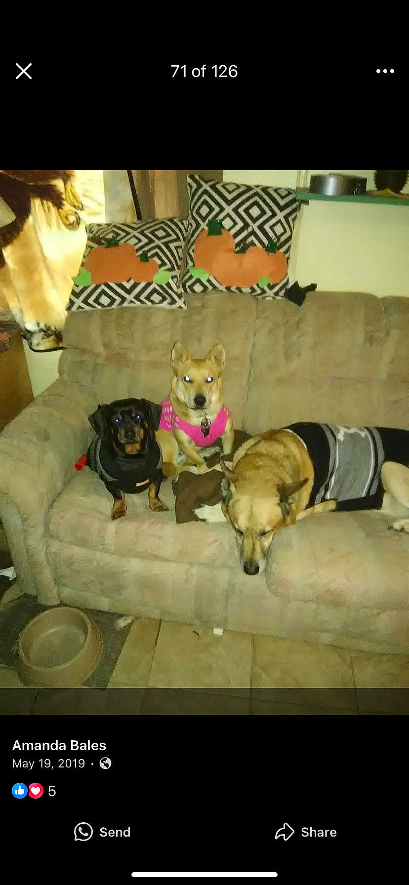 Buster Zeus Bella