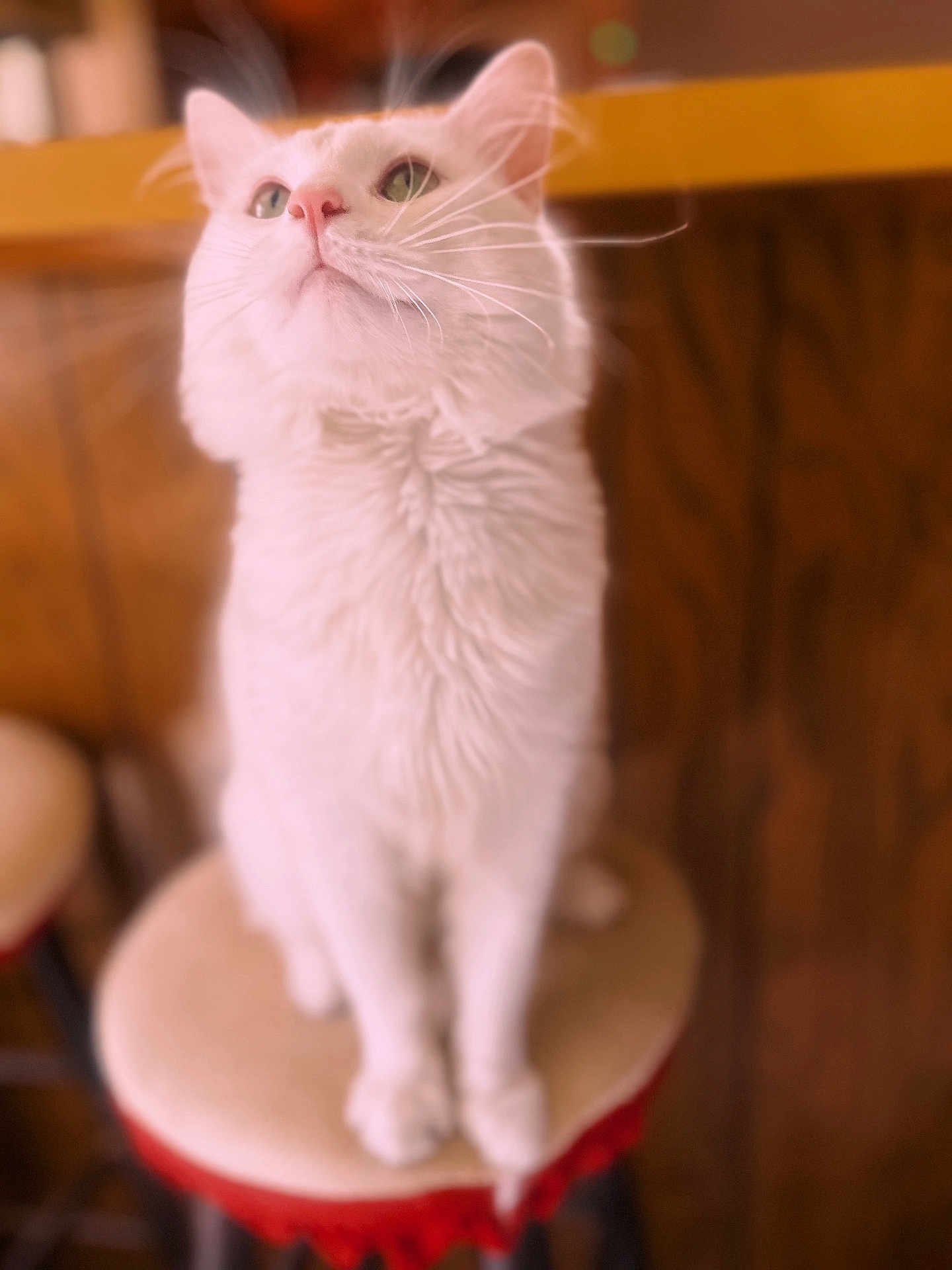 Fred